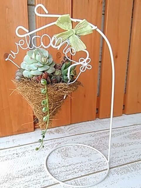 100均鉢底ネットとココマットでハンギング 多肉植物の寄せ植えに 暮らしニスタ 100均鉢底ネットとココマットでハンギング 多肉植物の寄せ植えに 暮らしニスタ