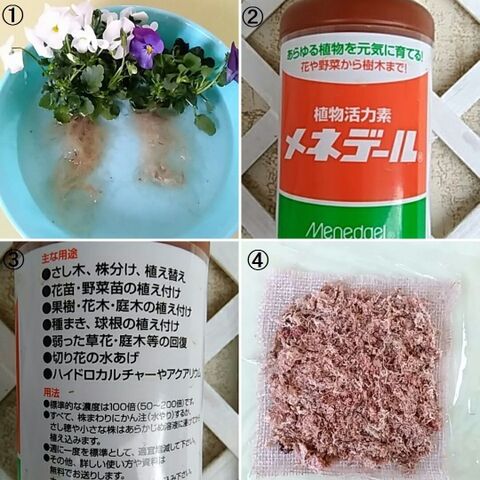 まんまる麻布ボールに植物を植えよう おしゃれビオラ編 暮らしニスタ まんまる麻布ボールに植物を植えよう おしゃれビオラ編 暮らしニスタ