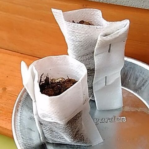 小さな穴なし容器もコレで素敵な鉢に 暮らしニスタ 小さな穴なし容器もコレで素敵な鉢に 暮らしニスタ