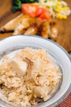 1pgfli579ncsym 1pgfli579ncsym