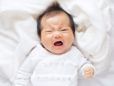 妊娠中のハチミツng 赤ちゃんはngの ハチミツ 妊婦や胎児への影響 暮らしニスタ 妊娠中のハチミツng 赤ちゃんはngの ハチミツ 妊婦や胎児への影響 暮らしニスタ