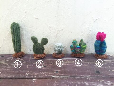 ダイソー毛糸とニードルで作る ちょっとリアルなサボテンの寄せ植え 暮らしニスタ ダイソー毛糸とニードルで作る ちょっとリアルなサボテンの寄せ植え 暮らしニスタ