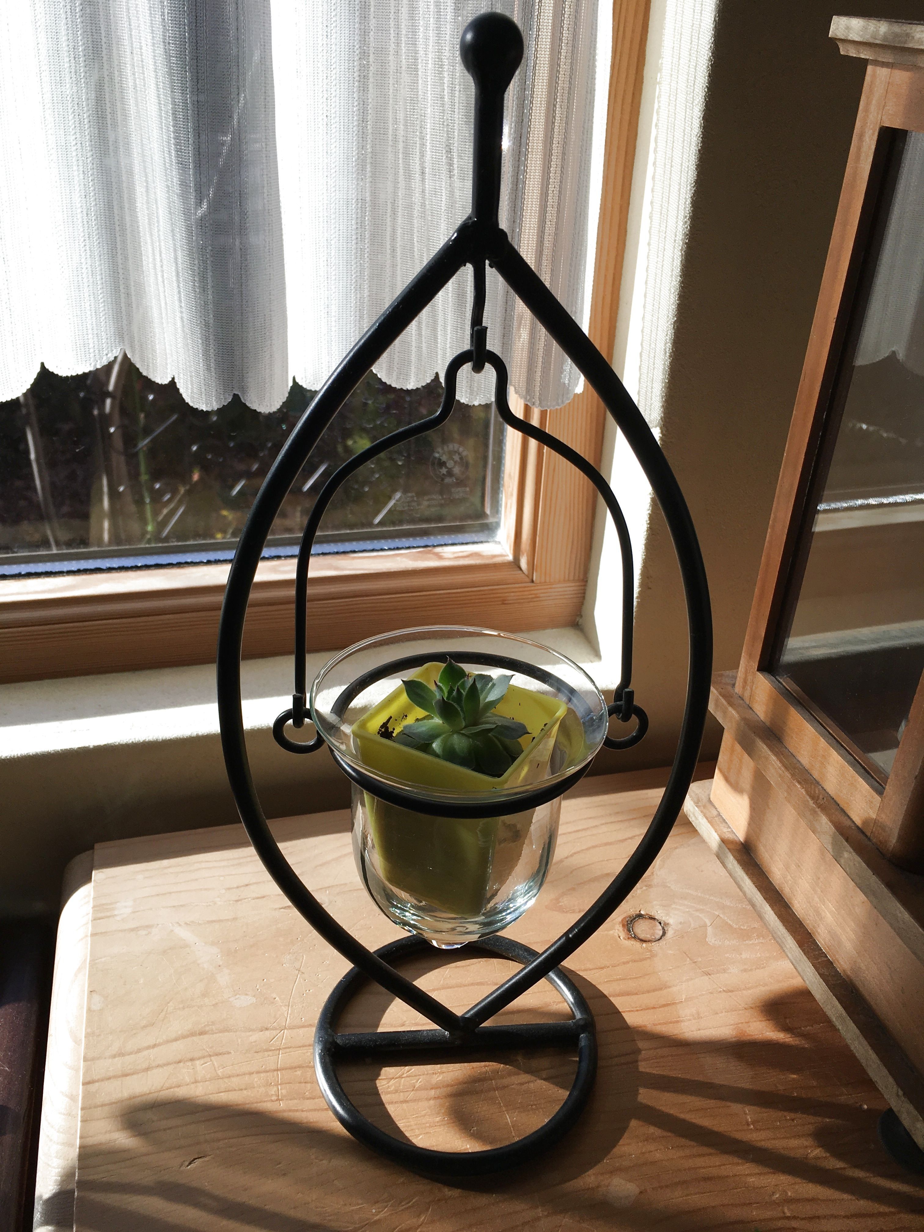 試してみた ダイソーで買った サボテン の飾り方 暮らしニスタ