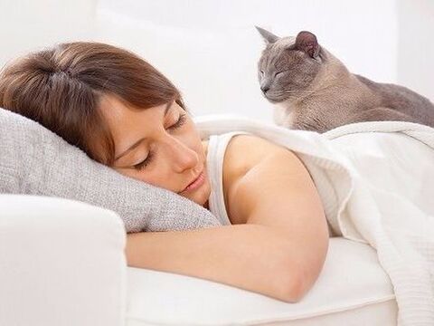 自立した大人猫 甘えた子猫さん 猫の寝る場所からわかる猫の精神年齢 暮らしニスタ 自立した大人猫 甘えた子猫さん 猫の寝る場所からわかる猫の精神年齢 暮らしニスタ