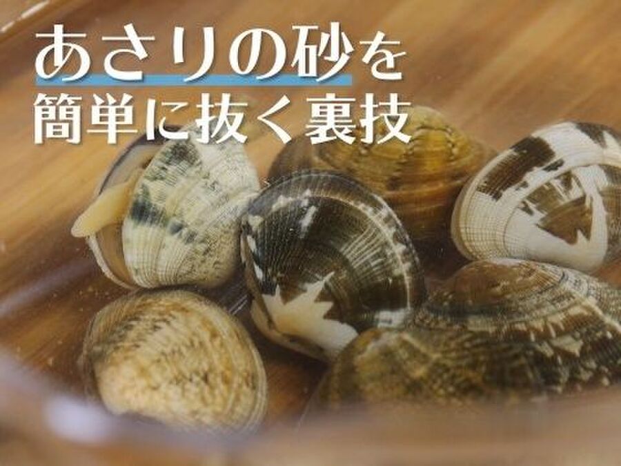 裏技 あさりの砂を簡単に抜く裏技 料理のレシピや作り方 暮らしニスタ 裏技 あさりの砂を簡単に抜く裏技 料理のレシピや作り方 暮らしニスタ