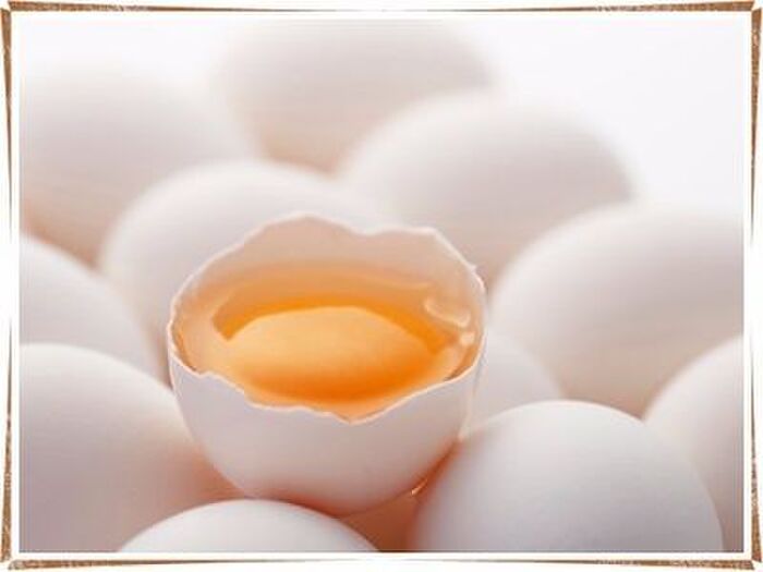 生活習慣病には卵黄油がおススメです！