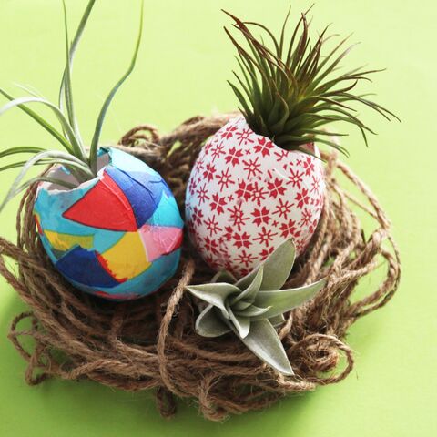 ペーパーナプキンでつくるエッグプランター デコパージュ風 暮らしニスタ