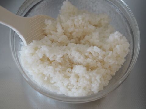もうもち米はいりません ご飯 片栗粉で簡単に おはぎ ができちゃった 試してみた 暮らしニスタ