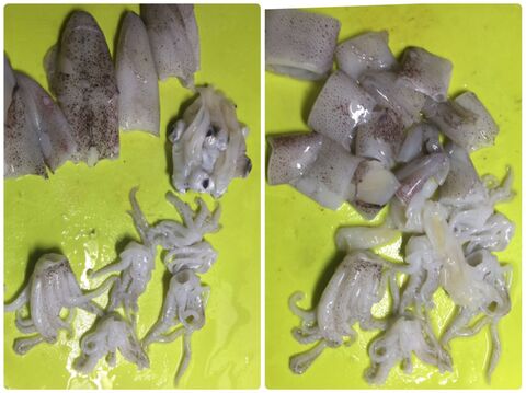 プリっぷり ヒイカと里芋の煮付け 暮らしニスタ プリっぷり ヒイカと里芋の煮付け 暮らしニスタ