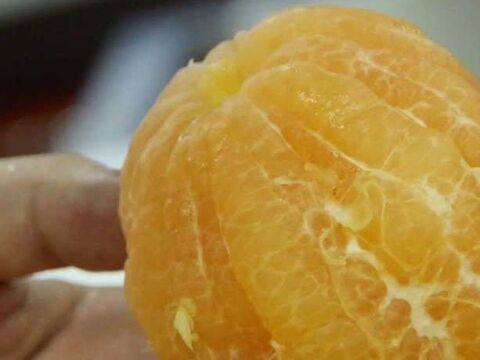 裏技 グレープフルーツの簡単な皮むき法 暮らしニスタ 裏技 グレープフルーツの簡単な皮むき法 暮らしニスタ