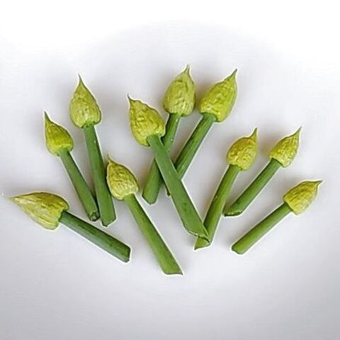その3 ネギ坊主 捨てずに食べられる 採り遅れのトウ立ち野菜 暮らしニスタ その3 ネギ坊主 捨てずに食べられる 採り遅れのトウ立ち野菜 暮らしニスタ