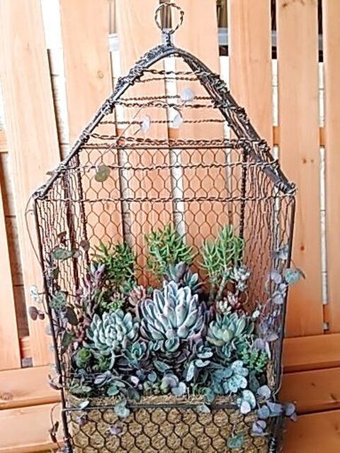 多肉植物の寄せ植えinセリアの100均商品で作るバードケージ風コンテナ 暮らしニスタ 多肉植物の寄せ植えinセリアの100均商品で作るバードケージ風コンテナ 暮らしニスタ