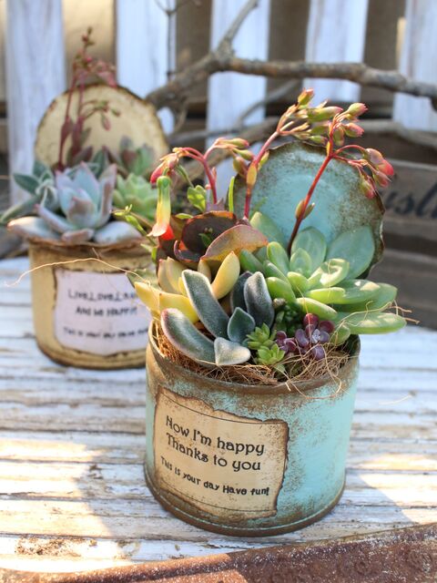 大人気 多肉と相性抜群 リメ缶 リメ鉢の作り方 暮らしニスタ 大人気 多肉と相性抜群 リメ缶 リメ鉢の作り方 暮らしニスタ