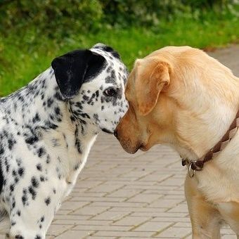 ４つの距離帯は状況によって変わる