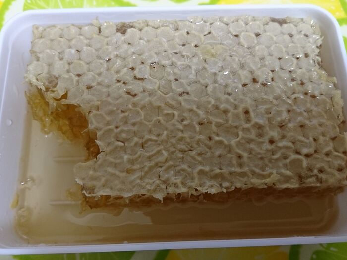 巣蜜（Comb Honey）