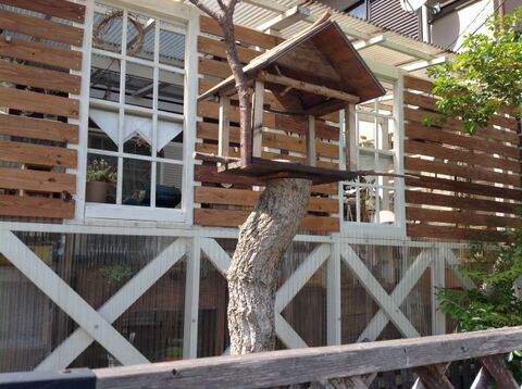 庭木を切って 端材で野鳥の餌台diy 暮らしニスタ 庭木を切って 端材で野鳥の餌台diy 暮らしニスタ