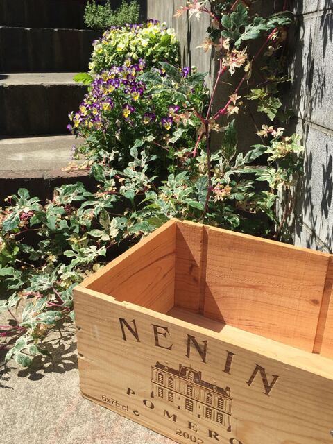 お手軽ハーブガーデン 絶対オススメなアイテムとは 暮らしニスタ お手軽ハーブガーデン 絶対オススメなアイテムとは 暮らしニスタ