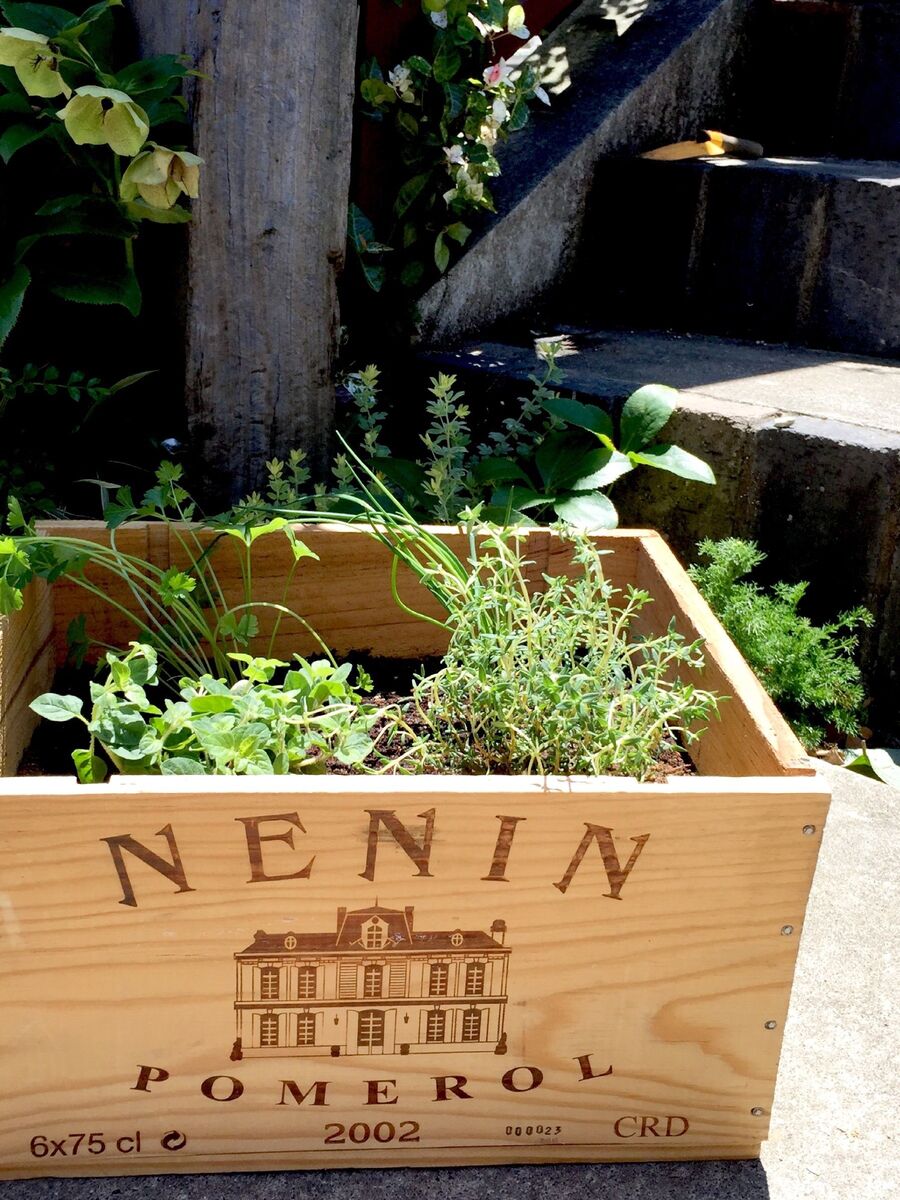 お手軽ハーブガーデン 絶対オススメなアイテムとは 暮らしニスタ お手軽ハーブガーデン 絶対オススメなアイテムとは 暮らしニスタ