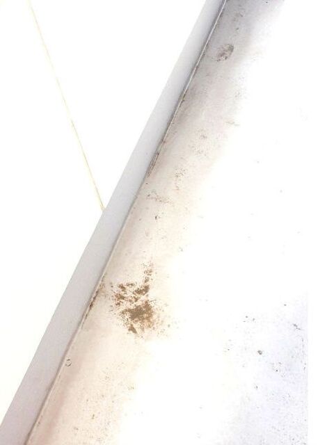 排水口が詰まる前に ベランダの掃除と髪の毛対策 暮らしニスタ