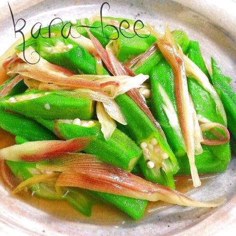 夏の簡単箸休め オクラとみょうがの浅漬けレシピ 暮らしニスタ 夏の簡単箸休め オクラとみょうがの浅漬けレシピ 暮らしニスタ