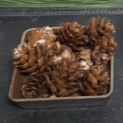 100均の材料で簡単に作れる松ぼっくりのミニ盆栽を紹介します 暮らしニスタ 100均の材料で簡単に作れる松ぼっくりのミニ盆栽を紹介します 暮らしニスタ