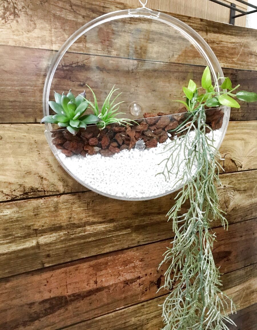 梅干しケースをオシャレなグリーンインテリアにリメイク 暮らしニスタ