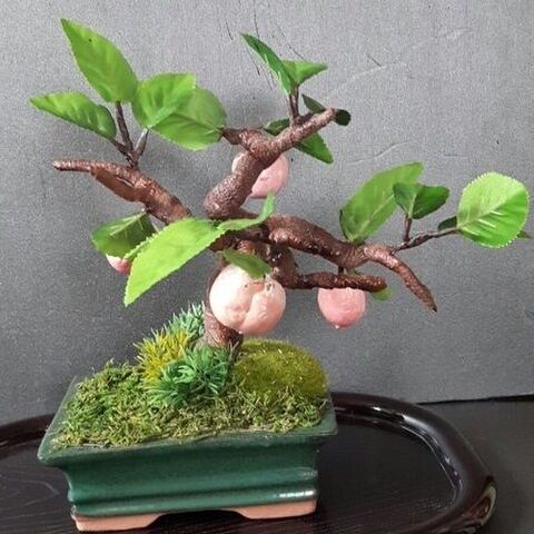 100均の材料でインテリア小物 もものミニ盆栽 の作り方 を紹介します 暮らしニスタ 100均の材料でインテリア小物 もものミニ盆栽 の作り方 を紹介します 暮らしニスタ