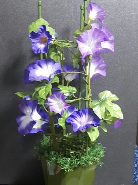 立派な 朝顔の鉢植え が アレンジ次第で100均の造花で作れます 暮らしニスタ 立派な 朝顔の鉢植え が アレンジ次第で100均の造花で作れます 暮らしニスタ