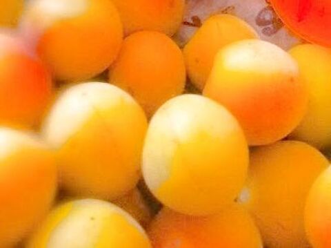 簡単 電子レンジで梅仕事 30分で完成します 暮らしニスタ 簡単 電子レンジで梅仕事 30分で完成します 暮らしニスタ