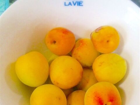 簡単 電子レンジで梅仕事 30分で完成します 暮らしニスタ