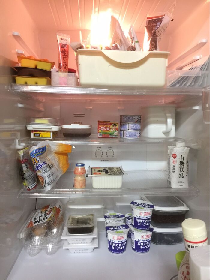生活感あふれる、在庫が管理しやすい愛すべき冷蔵庫