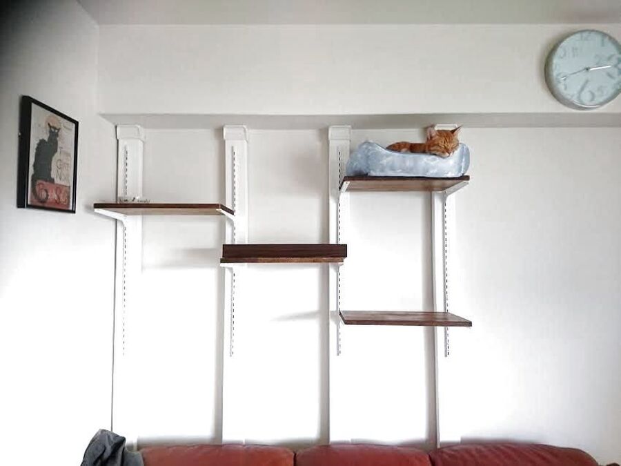 ディアウォールを使って キャットウォークをdiy 暮らしニスタ