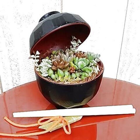 多肉植物のなんちゃってフード お寿司 丼 ケーキ 飯テロ寄せ植え 暮らしニスタ 多肉植物のなんちゃってフード お寿司 丼 ケーキ 飯テロ寄せ植え 暮らしニスタ