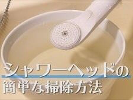 【裏技】汚れたシャワーヘッドの掃除方法
