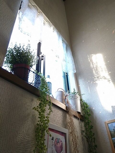 Cafeカーテンとサンキャッチャー 暮らしニスタ