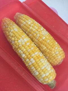 とうもろこしの簡単レシピ43選 おかずやおつまみにも 暮らしニスタ