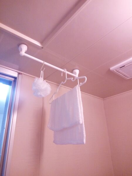 吸盤タオル掛けを、浴室天井の収納スペースに利用☆