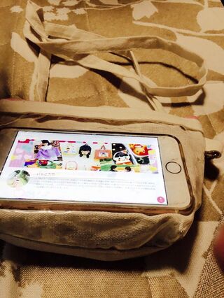 ダイソーの入れたまま操作出来るスマホポーチ 暮らしニスタ