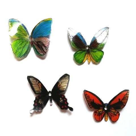 小3男子 Michiカエルさんのプラ板昆虫標本に挑戦 自由研究に 暮らしニスタ 小3男子 Michiカエルさんのプラ板昆虫標本に挑戦 自由研究に 暮らしニスタ