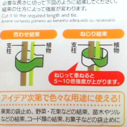 存在感バツグン ダイソーの園芸テープでポトスを立てる 暮らしニスタ 存在感バツグン ダイソーの園芸テープでポトスを立てる 暮らしニスタ