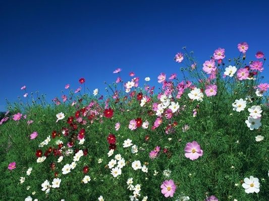 【9月の肌占い】お肌のタイプと血液型から占います！