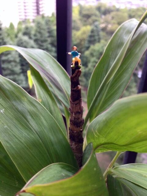 100均ジオラマ人形をグリーンに飾って ミニチュア世界を楽しもう 暮らしニスタ 100均ジオラマ人形をグリーンに飾って ミニチュア世界を楽しもう 暮らしニスタ