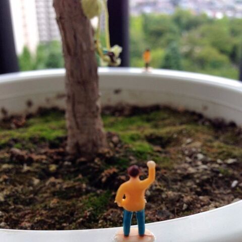 アート 量 定刻 100 均 植木鉢 人形 Lirevie Jp アート 量 定刻 100 均 植木鉢 人形 Lirevie Jp