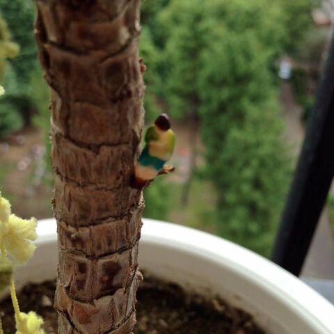 100均ジオラマ人形をグリーンに飾って ミニチュア世界を楽しもう 暮らしニスタ 100均ジオラマ人形をグリーンに飾って ミニチュア世界を楽しもう 暮らしニスタ