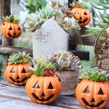 ハロウィンの飾り付けアイデア 100均や手作りで玄関やお部屋をかわいく 暮らしニスタ Goo ニュース
