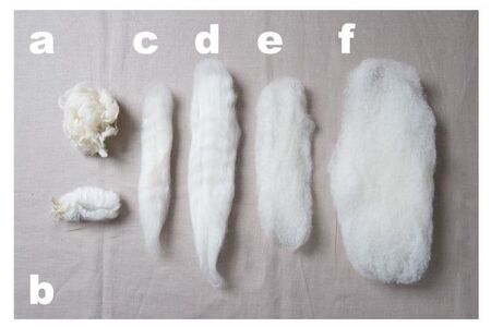 ふわふわ 羊毛フェルトの手作り 基本のき 厳選アイデア 暮らしニスタ ふわふわの質感が可愛く 定番人気の 羊毛フ dメニューニュース Nttドコモ ふわふわ 羊毛フェルトの手作り 基本のき 厳選アイデア 暮らしニスタ ふわふわの質感が可愛く 定番人気の 羊毛フ dメニューニュース Nttドコモ