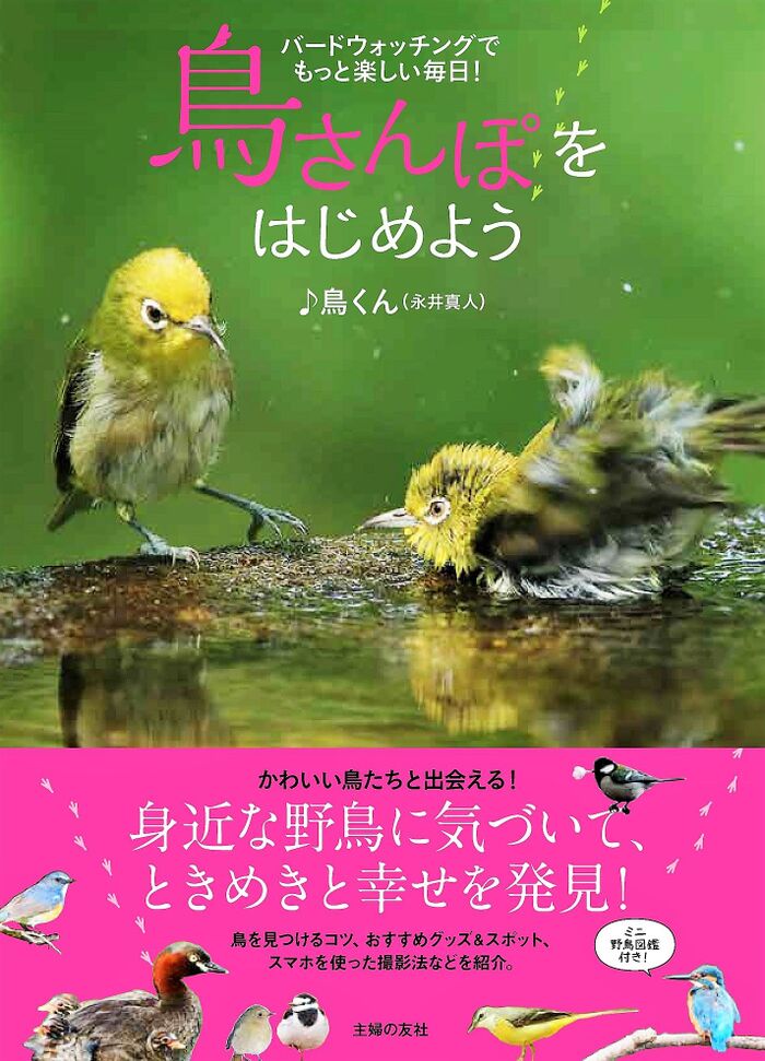 かわいい鳥たちと出会える 鳥さんぽをはじめよう 暮らしニスタ