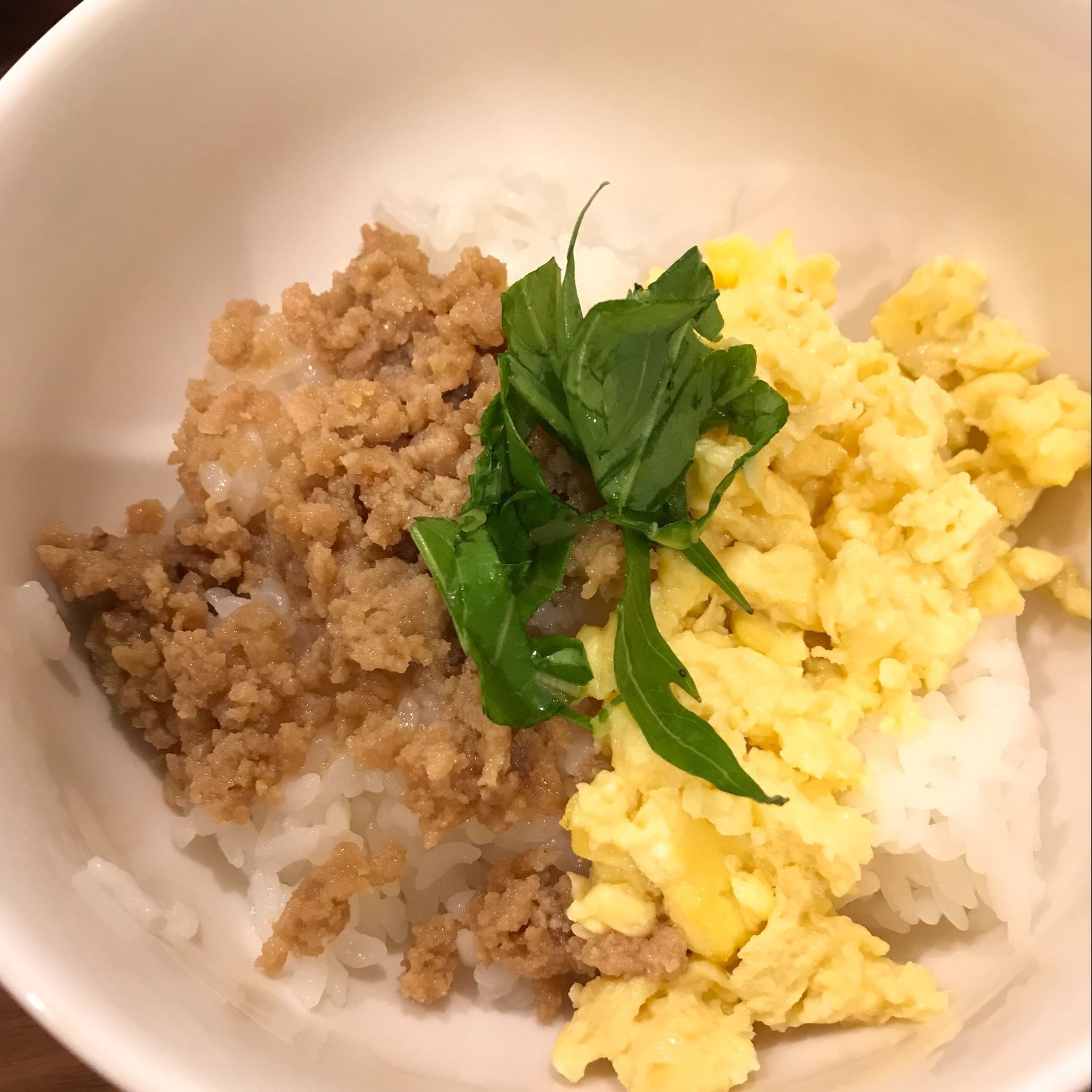 【試してみた】簡単2色丼♬