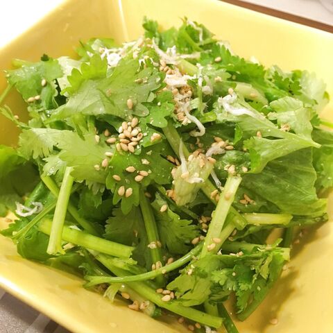 ナンプラー ゴマ油で簡単 パクチーサラダ おつまみにgood 暮らしニスタ