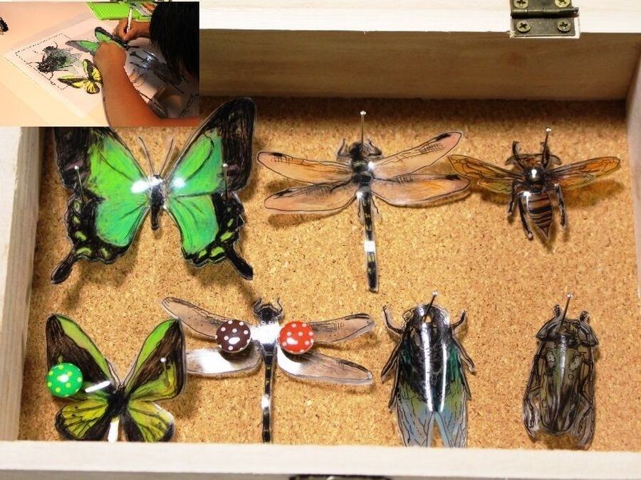 試してみた 写して描いて プラ板で虫ピン標本箱の作り方 暮らしニスタ 試してみた 写して描いて プラ板で虫ピン標本箱の作り方 暮らしニスタ